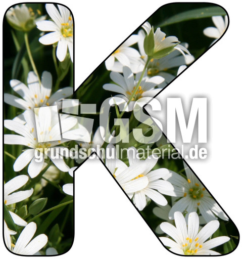 Deko-Buchstaben-Blumen_K.jpg